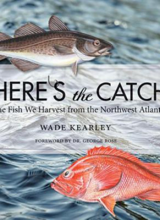 Kniha Here's the Catch Wade Kearley