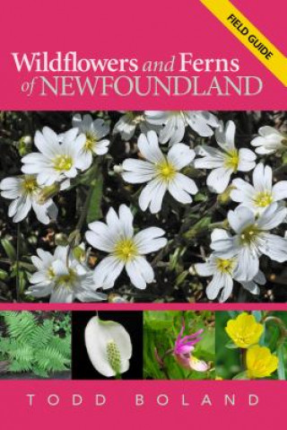 Carte Wildflowers and Ferns of Newfoundland Thomas Rendell Curran
