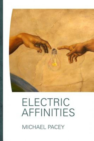 Livre Electric Affinities Michael Pacey