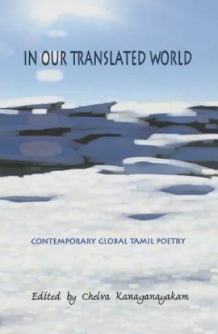 Könyv In Our Translated World Chelva Kanaganayakam