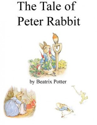 Kniha Tale of Peter Rabbit Beatrix Potter