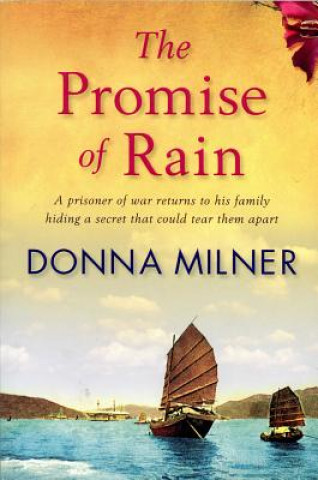 Książka Promise of Rain Donna Milner