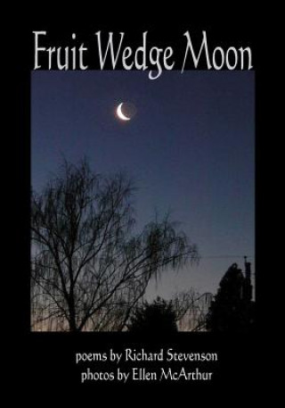 Buch Fruit Wedge Moon Richard Stevenson