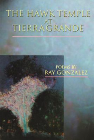 Книга Hawk Temple at Tierra Grande Ray Gonzalez