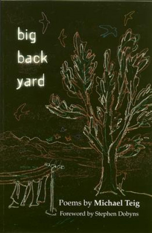 Buch Big Back Yard Michael Teig