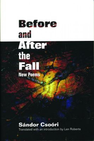 Book Before and After the Fall Sandor Csosri