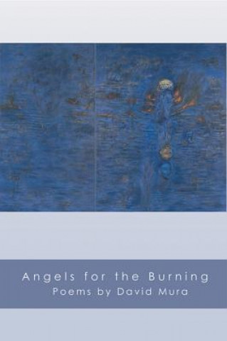 Buch Angels for the Burning David Mura