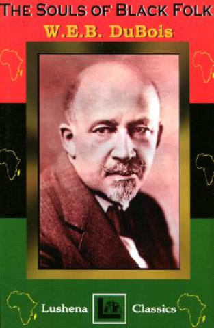 Kniha The Souls of Black Folk W. E. B. Du Bois