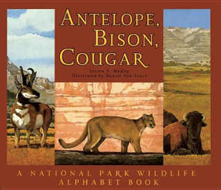 Kniha Antelope, Bison, Cougar Steven P. Medley