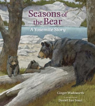 Kniha Seasons of the Bear Ginger Wadsworth