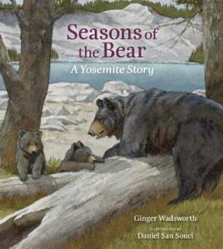 Livre Seasons of the Bear Ginger Wadsworth