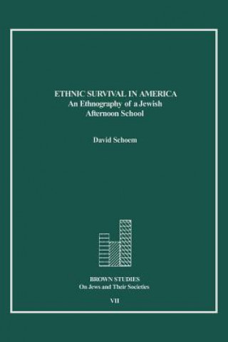 Kniha Ethnic Survival in America David Schoem