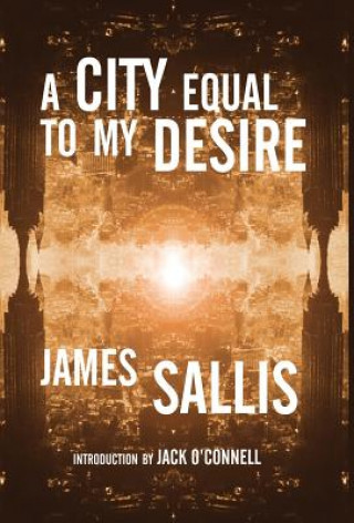 Książka A City Equal to My Desire James Sallis