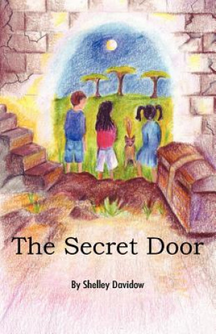 Könyv The Secret Door Shelley Davidow