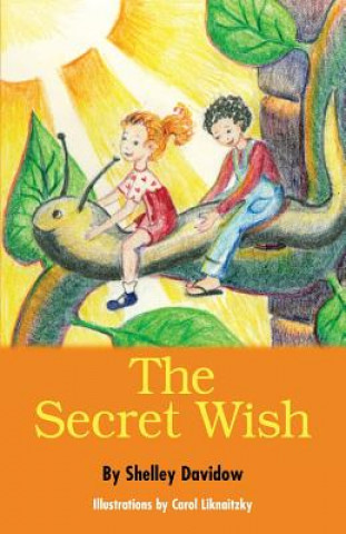 Könyv The Secret Wish Shelley Davidow