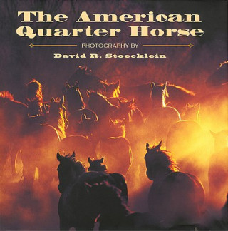 Carte The American Quarter Horse David R. Stoecklein