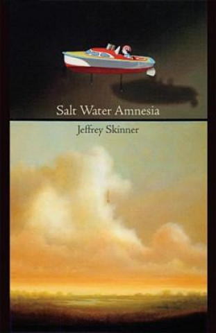 Knjiga Salt Water Amnesia Jeffrey Skinner