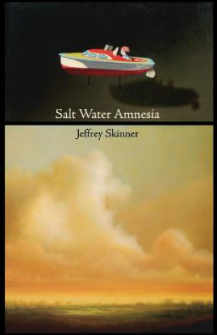 Knjiga Salt Water Amnesia Jeffrey Skinner