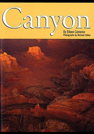Könyv Canyon Eileen Cameron