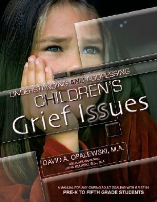 Carte Understanding and Addressing Children's Grief Issues - Grades Pre-K to 5th Grade David A. Opalewski