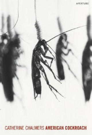 Βιβλίο Catherine Chalmers: American Cockroach Catherine Chalmers