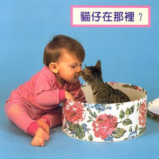 Kniha Where's The Kitten? Cheryl Christian