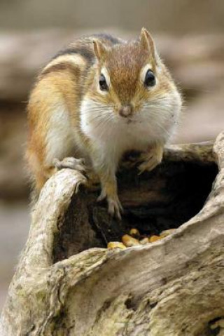 Book Chipmunk Blank Journal Bruce Macqueen