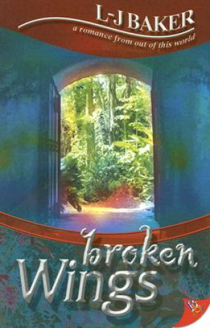 Livre Broken Wings L-J Baker