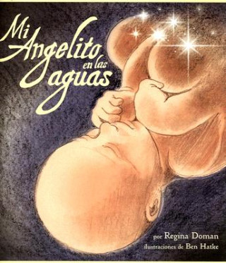 Kniha Mi Angelito En Las Aguas Regina Doman