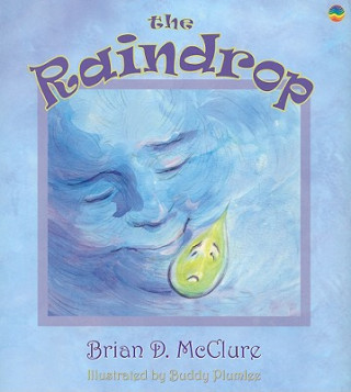 Książka The Raindrop Brian D. McClure