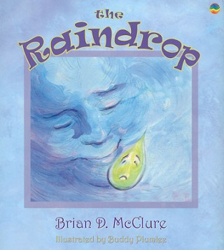 Книга The Raindrop Brian D. McClure