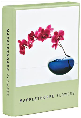 Printed items Mapplethorpe Flowers Notecard Box The Robert Mapplethorpe Foundation