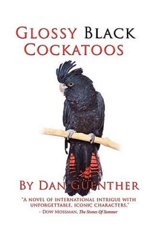 Kniha Glossy Black Cockatoos Dan Guenther