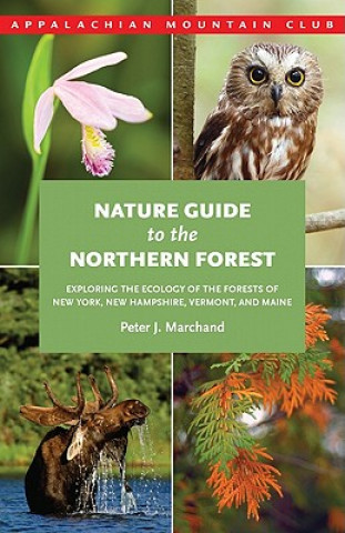 Kniha Nature Guide to the Northern Forest: Exploring the Ecology of the Forests of New York, New Hampshire, Vermont, and Maine Peter J. Marchand