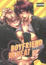 Könyv Boyfriend in Heat Sakira