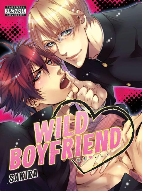 Kniha Wild Boyfriend Sakira
