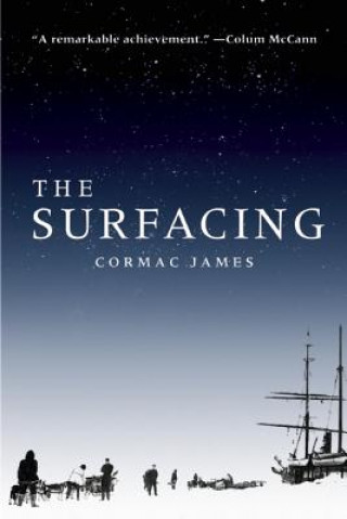 Buch The Surfacing Cormac James