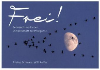 Hra/Hračka Frei! - Postkartenbuch Andrea Schwarz