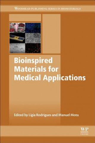 Livre Bioinspired Materials for Medical Applications L?gia Rodrigues