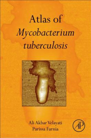 Carte Atlas of Mycobacterium Tuberculosis Ali Akbar Velayati