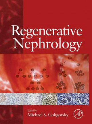 Book Regenerative Nephrology Michael S. Goligorsky