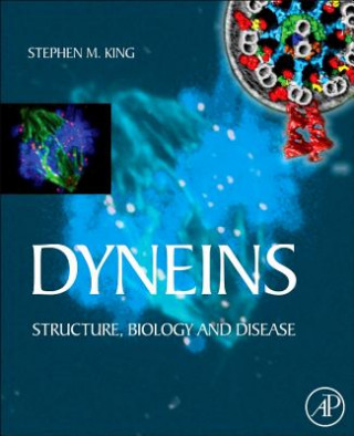 Carte Dyneins Stephen M. King
