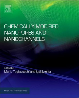 Könyv Chemically Modified Nanopores and Nanochannels Mario Tagliazucchi