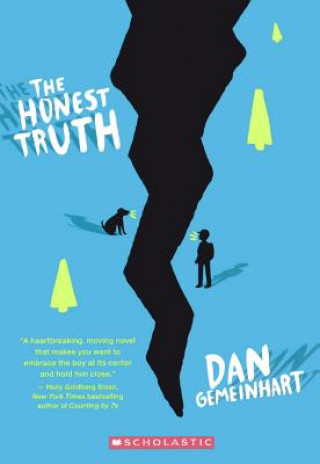 Buch The Honest Truth Dan Gemeinhart