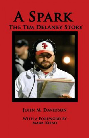 Kniha A Spark: The Tim Delaney John M. Davidson