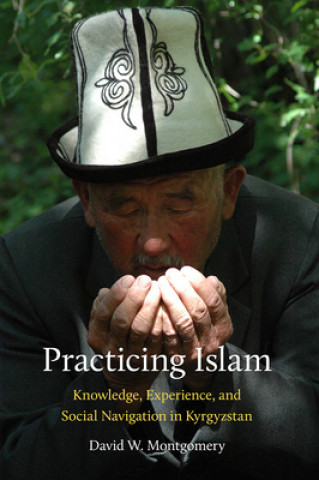 Könyv Practicing Islam David W. Montgomery