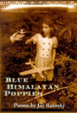 Carte Blue Himalayan Poppies Jay Ruzesky