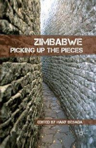 Buch Zimbabwe H. Besada