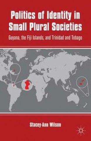 Buch Politics of Identity in Small Plural Societies S. Wilson