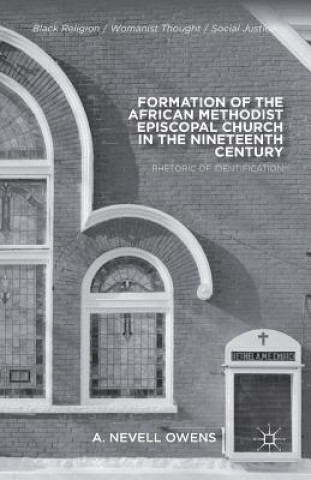 Kniha Formation of the African Methodist Episcopal Church in the Nineteenth Century A. Owens